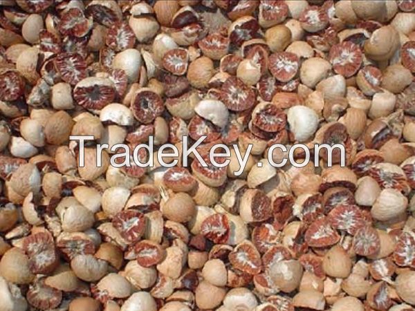 high grade Betel Nuts for sale