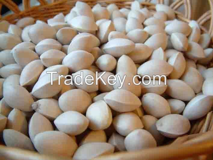 processed Ginkgo Nuts for sale