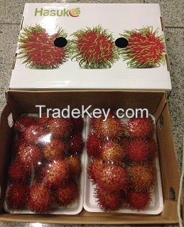 Fresh Java/ Thai Rambutan - Hasuko Foods - 84988658328