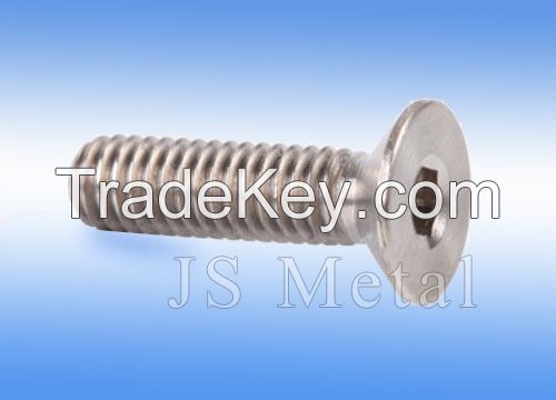 Titanium countersunk head screw