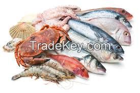 Seafood from Thailand for sale