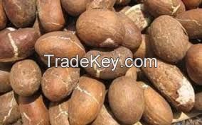 Bitter Kola (Garcinia Kola) Nuts