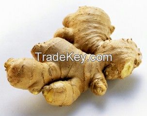 Ginger: Dry and fresh