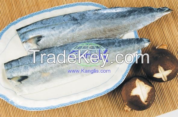 sell frozen mackerel fillet