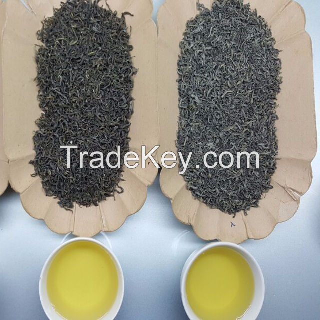 Thai Nguyen Green tea from Vietnam High Quality