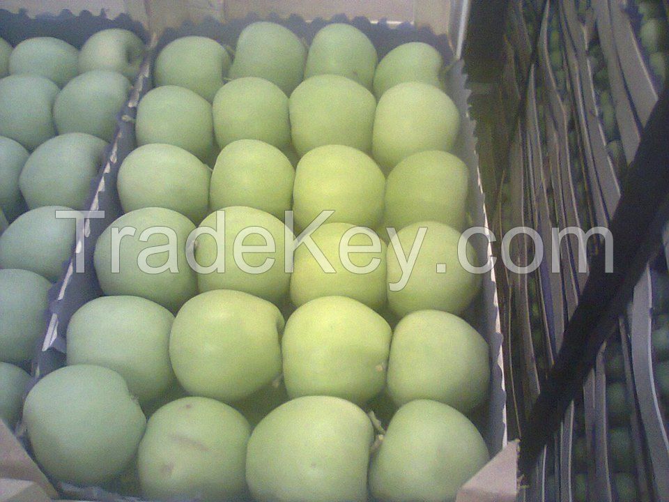 Fresh Royal Gala Apples, Fuji Apples, Golden Delicious Apples, Red Delicious Apples For sa