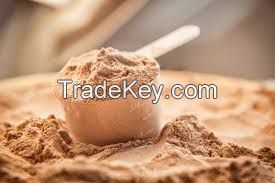 Bulk Wholesale Whey Protein Powder