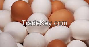 wholesale fresh yellow sale yolks whites organic chicken eggs price in bulk egg making bulk for sale