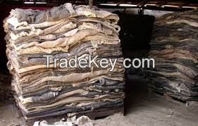 DRY AND WET SALTED DONKEY/ HORSE/COW HIDES AND SKIN