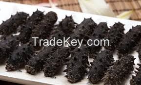 High Quality Dried Wild Sea Cucumber