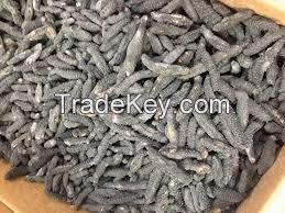 Super Quality Dried Sea Cucumber !! Cheap !!!