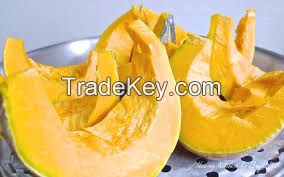 Best Quality Fresh Pumpkins