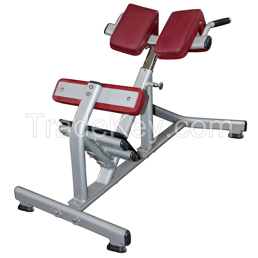 Realleader Fitness Equipment Hyperextension(FW-1006)