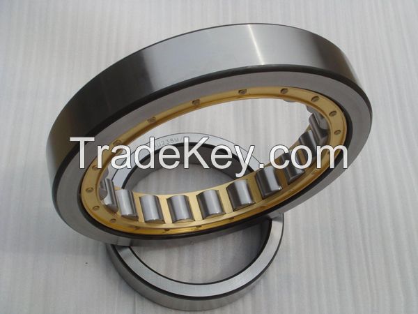 Cylindrical Roller Bearing NU238M
