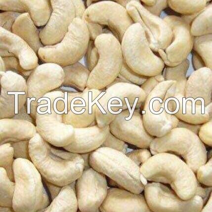 High Quality Raw Cashew Nuts w240 cashew nuts