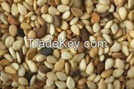 GOOD QUALITY SESAME SEEDS