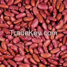 Premium Quality Red Kidney Beans