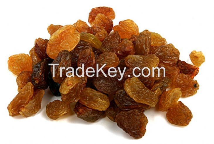 High Quality Turkish Dried Raisins