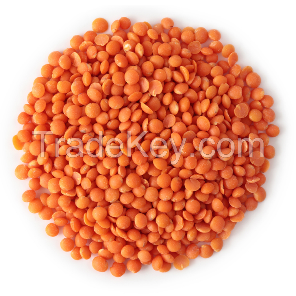 High Quality Turkish Red Lentils