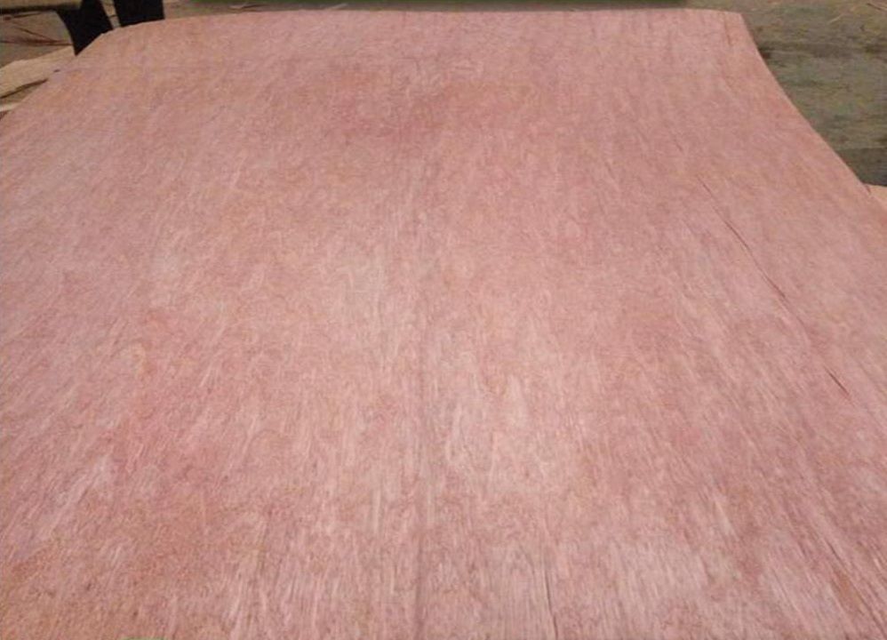 FACTORY PRICE hot sale veneer face 0.1mm to 0.8mm okoume, bintangor, eucalyptus, polor veneer for all around world market