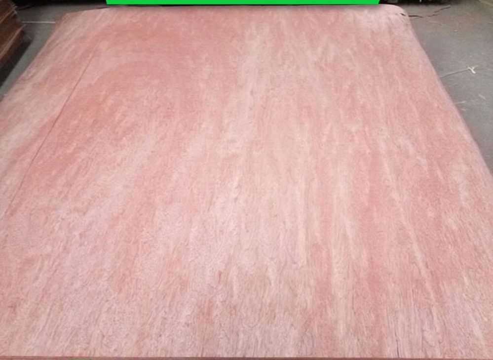 Hot sell rotary cut 1.5mm thickness maple wood veneer for skateboard veneer face 0.1mm to 0.8mm okoume, bintangor, eucalyptus, polor veneer for all around world market