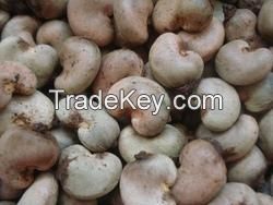 Sell Raw Cashew Nuts