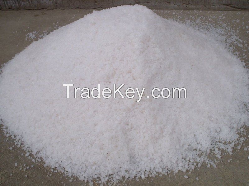 salt for export