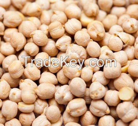 Kabuli chickpeas for export at best prices