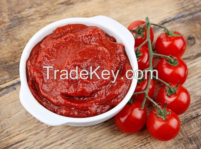 Best quality Tomato paste for sale at competitive price
