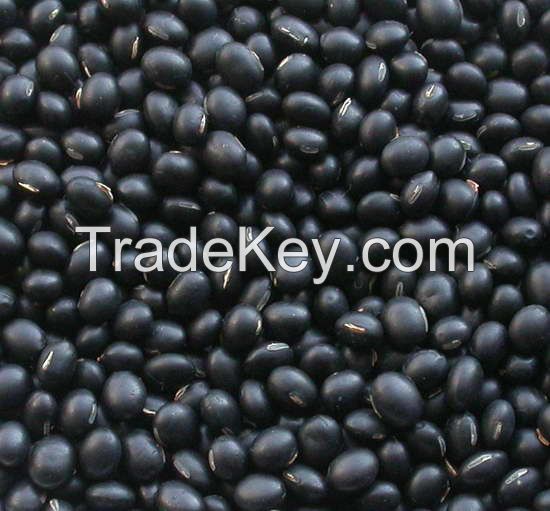 Premium grade Black Matpe for export at best prices