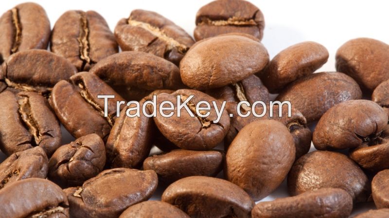 Premium Robusta coffee beans for export at best prices