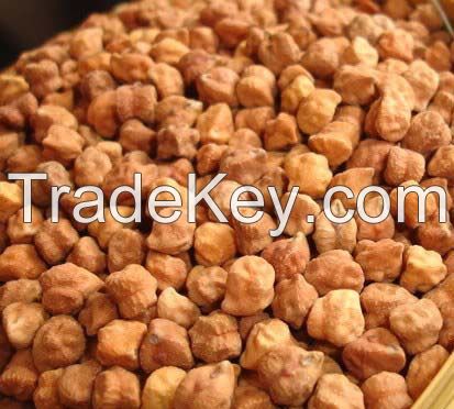 Premium grade Bangal Gram for export at best prices