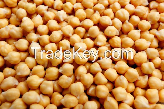 Premium grade chickpeas for export at best prices