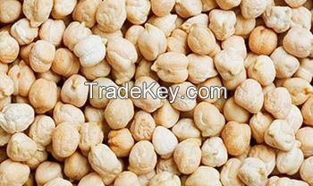 Round Kabuli chickpeas for export at best prices