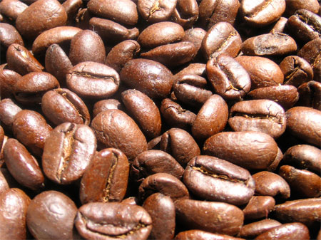 Premium Arabica coffee beans for export at best prices