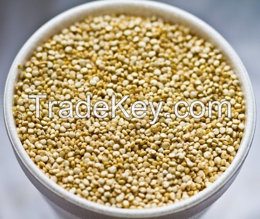 Top quality organice quinoa available for sale