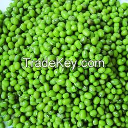 Top grade green mung beans for exportation