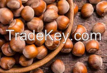 Top Quality Grade A Hazel Nuts for exportation