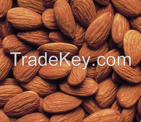 Best quality almond nuts and oil for exportation