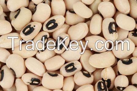 Top quality black eye beans at competitive price for export