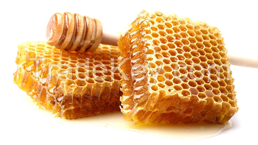 100 Beehive Honey Comb  Natural Bee Hive Honey