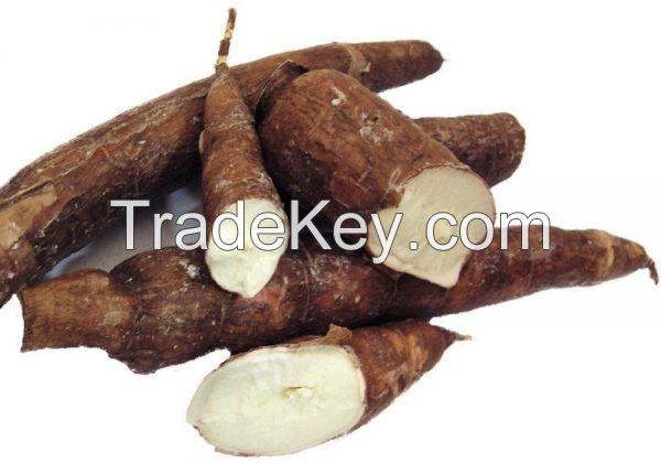 Good Selling starch Tapioca /Cassava/ Manioc Native Starch food grade
