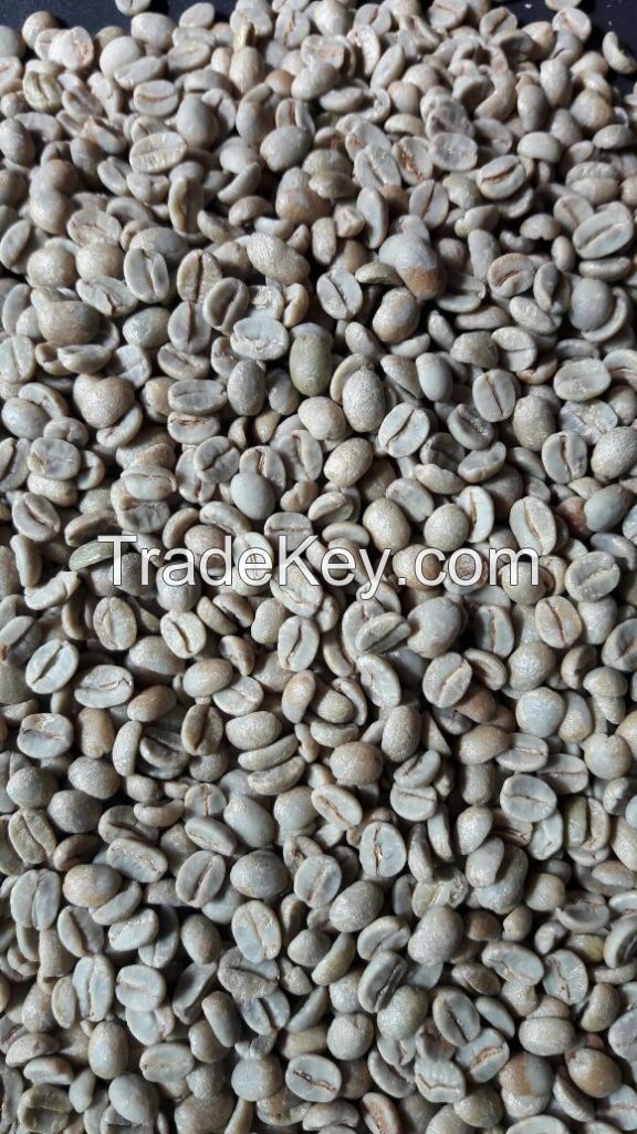 High Quality Arabica Green Coffee Bean