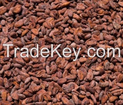 High Grade Dried Raw Cocoa Beans