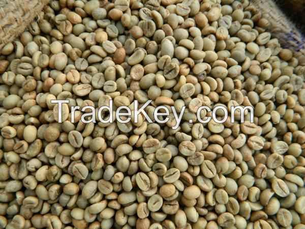 High Quality Dried Robusta Coffee