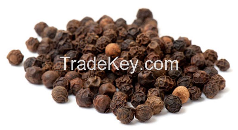 100% Pure Piperine Extract 95%, 98% / Natural Black Pepper Extract Manufacturer