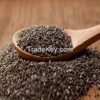 Highest Quality Chia Seed At Most Competitive Price