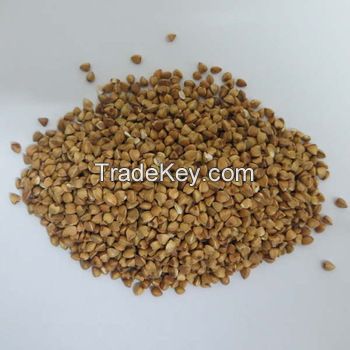 High Quality raw Sweet Buckwheat price