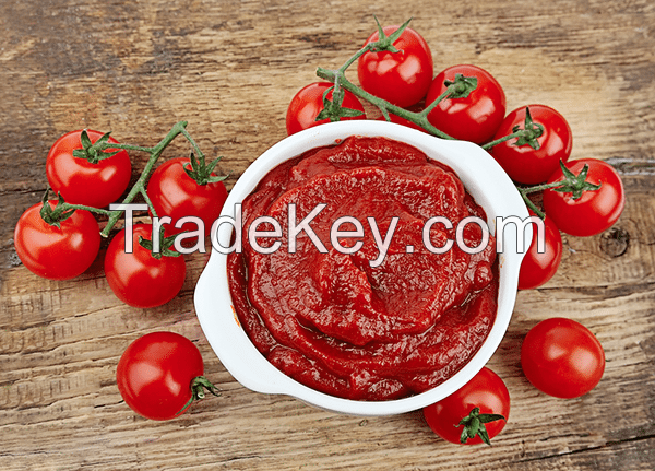 Fresh Tomato Paste Sauce 100% Natural Tomato Paste