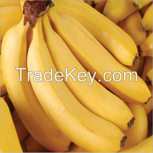 VERY CHEAP FRESH CAVENDISH BANANA